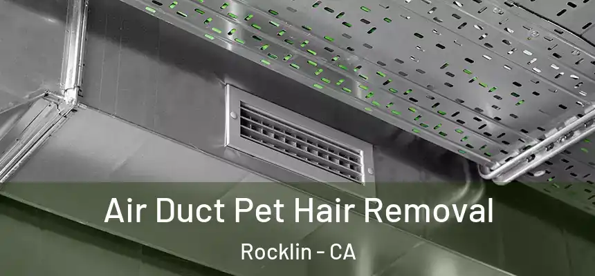  Air Duct Pet Hair Removal Rocklin - CA