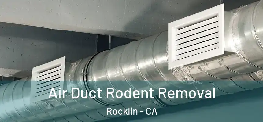 Air Duct Rodent Removal Rocklin - CA