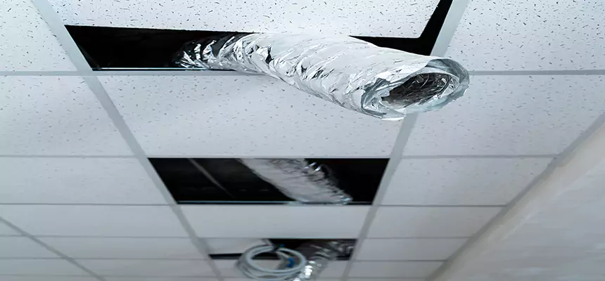 Our Air Duct Pet Hair Removal Services in Rocklin, CA