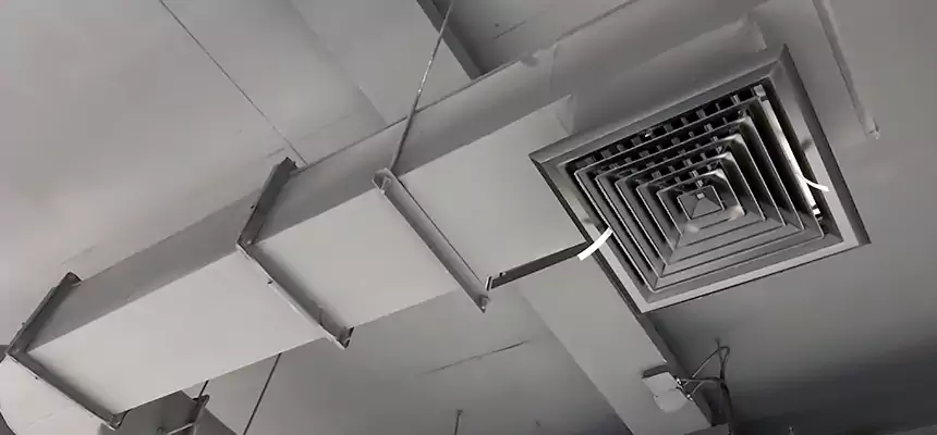 Our Pest Removal From Ducts Services in Rocklin, CA