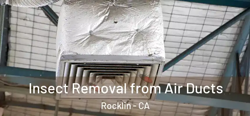 Insect Removal from Air Ducts Rocklin - CA