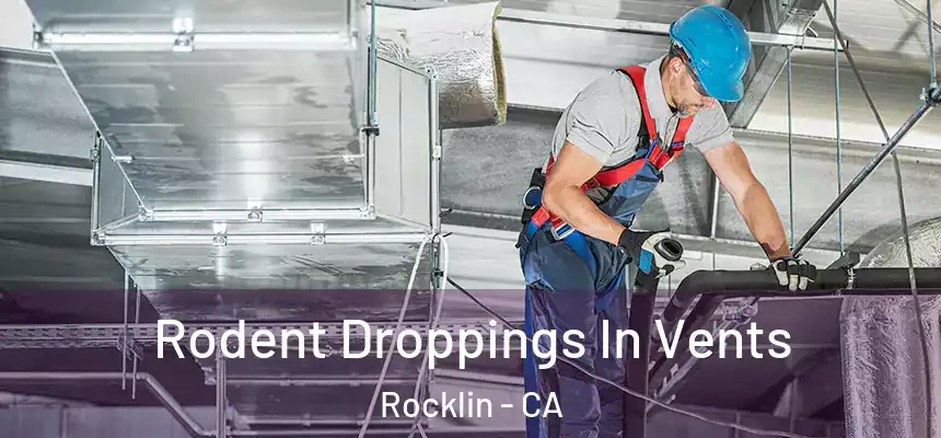  Rodent Droppings In Vents Rocklin - CA