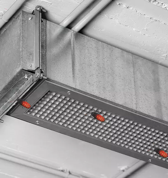 About Air Duct Cockroach Removal in Rocklin, CA