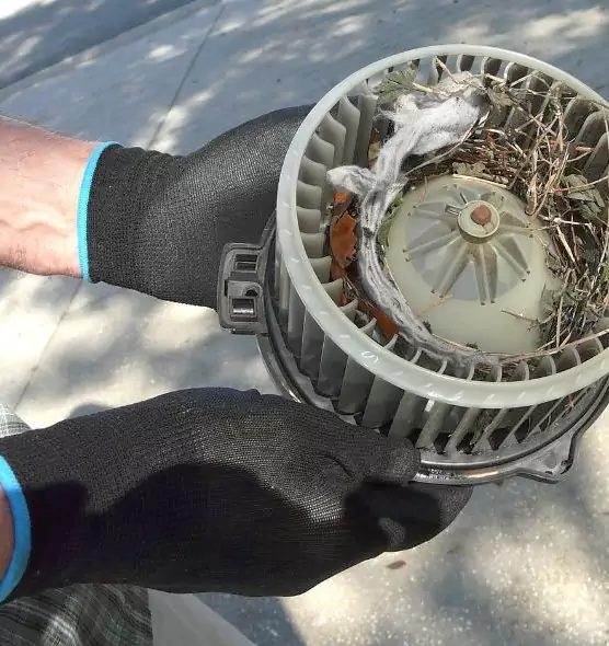 About Air Duct Mice Removal in Rocklin, CA