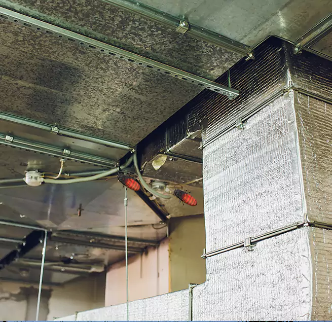 Why Homeowners & Businesses Trust Us Rocklin, CA?